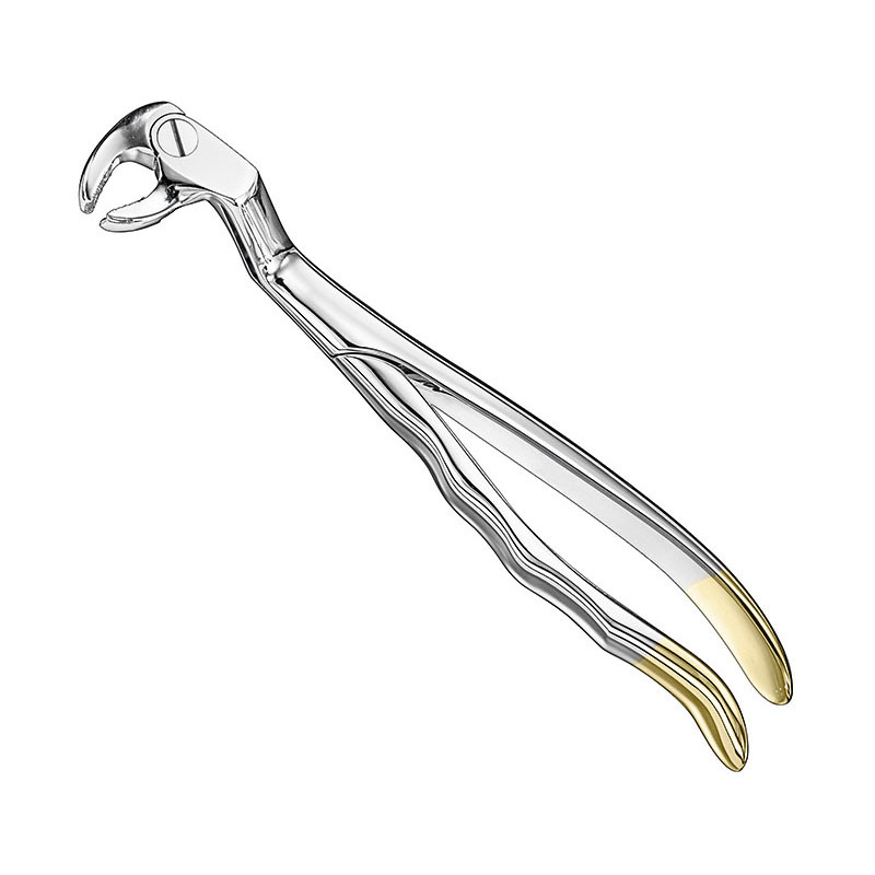 ROUTURIER, extr.fcps., anat.