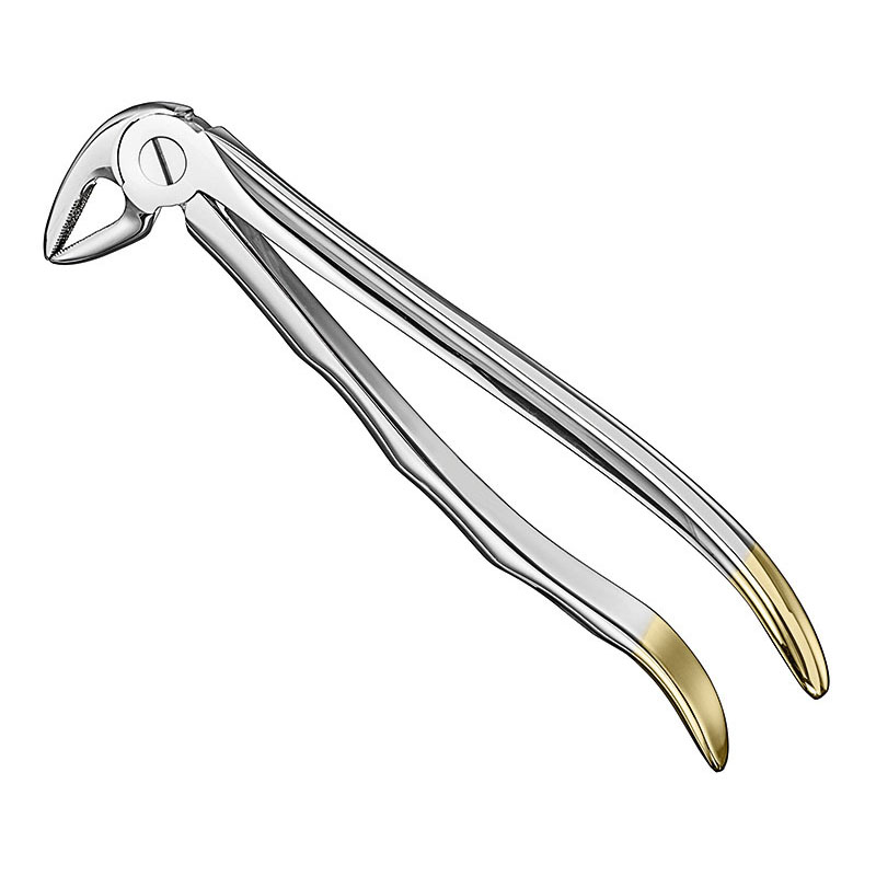 Extracting forceps, anat.