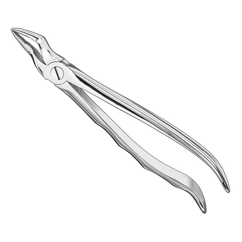 Extracting forceps, anat.
