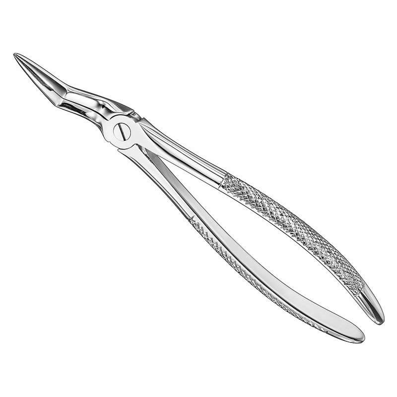 Extracting forceps, engl.