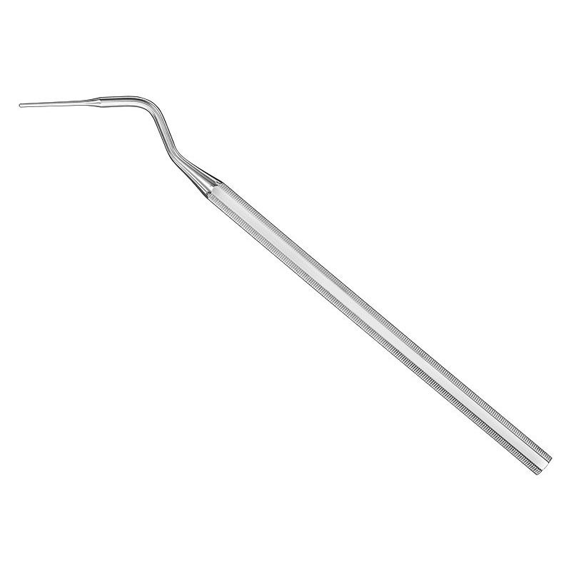 THUERRIEGEL, nerv.canal plugger